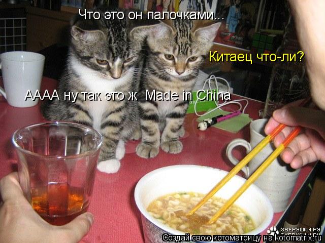 Котоматрица: Что это он палочками... Китаец что-ли? АААА ну так это ж  Made in China