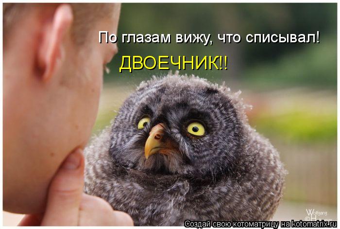 Котоматрица: По глазам вижу, что списывал! ДВОЕЧНИК!!