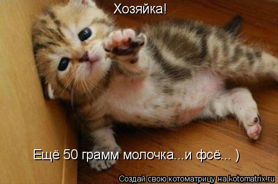 Котоматрица: Хозяйка! Ещё 50 грамм молочка...и фсё... )