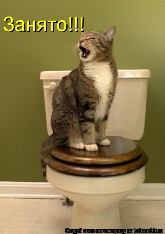 Котоматрица: Занято!!! Занято!!!