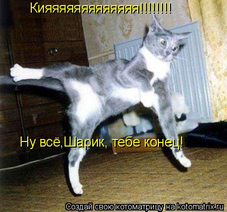 Котоматрица: Ну всё,Шарик, тебе конец! Кияяяяяяяяяяяяя!!!!!!!!
