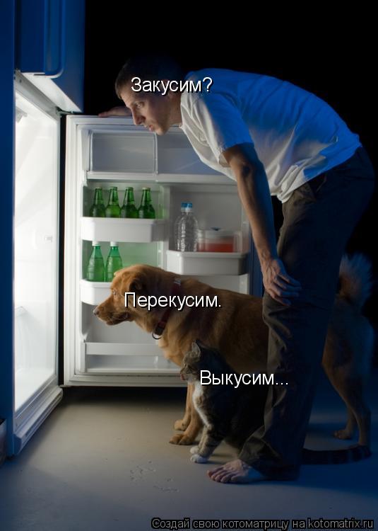 Котоматрица: Закусим? Перекусим. Выкусим...