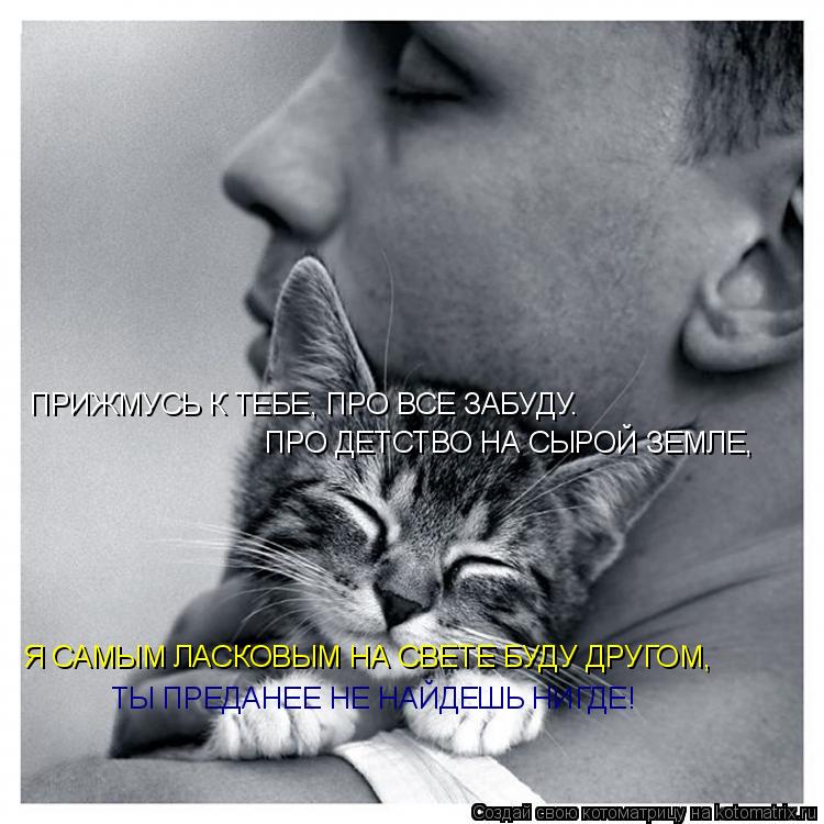 Котоматрица: ПРИЖМУСЬ К ТЕБЕ, ПРО ВСЕ ЗАБУДУ.  ПРО ДЕТСТВО НА СЫРОЙ ЗЕМЛЕ, Я САМЫМ ЛАСКОВЫМ НА СВЕТЕ БУДУ ДРУГОМ, ТЫ ПРЕДАНЕЕ НЕ НАЙДЕШЬ НИГДЕ!