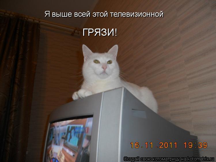 Котоматрица: Я выше всей этой телевизионной ГРЯЗИ!