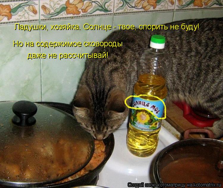Котоматрица: Но на содержимое сковороды даже не рассчитывай! Ладушки, хозяйка. Солнце - твое, спорить не буду!