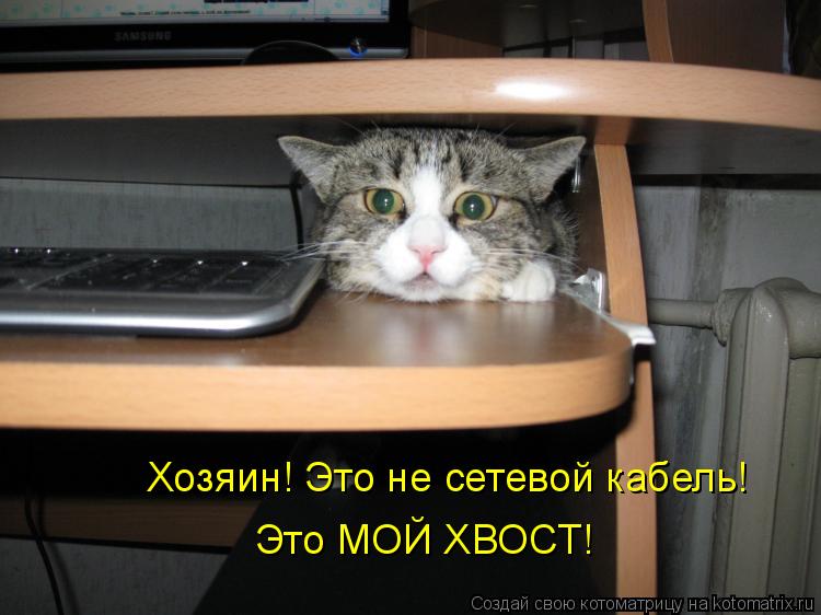 Котоматрица: Хозяин! Это не сетевой кабель! Это МОЙ ХВОСТ!