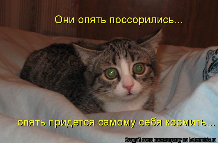 Котоматрица: Они опять поссорились... опять придется самому себя кормить...