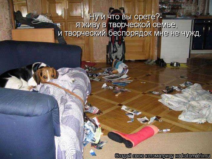 Котоматрица: Ну и что вы орете?- я живу в творческой семье, и творческий беспорядок мне не чужд.
