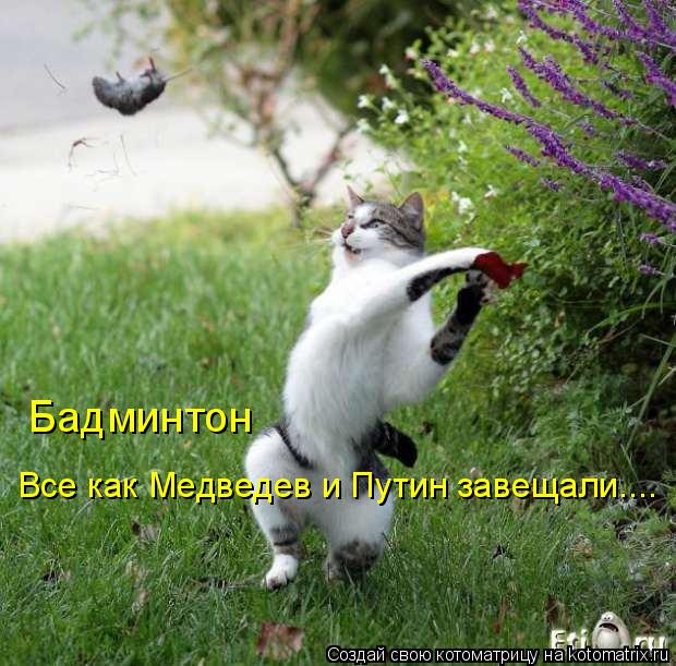 Бадминтон Все как Медведев и Путин завещали....... Котоматрица: Бадминтон Все как Медведев и Путин завещали....