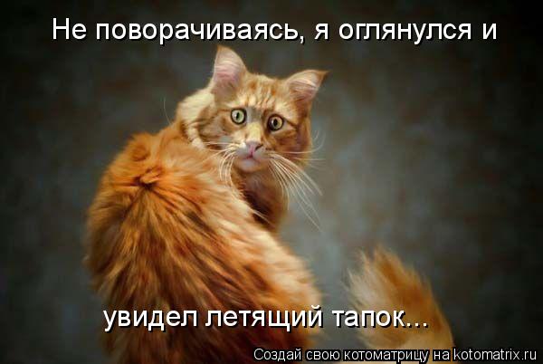 Котоматрица: Не поворачиваясь, я оглянулся и  увидел летящий тапок...