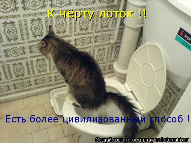 Котоматрица: К чёрту лоток !! Есть более цивилизованный способ !
