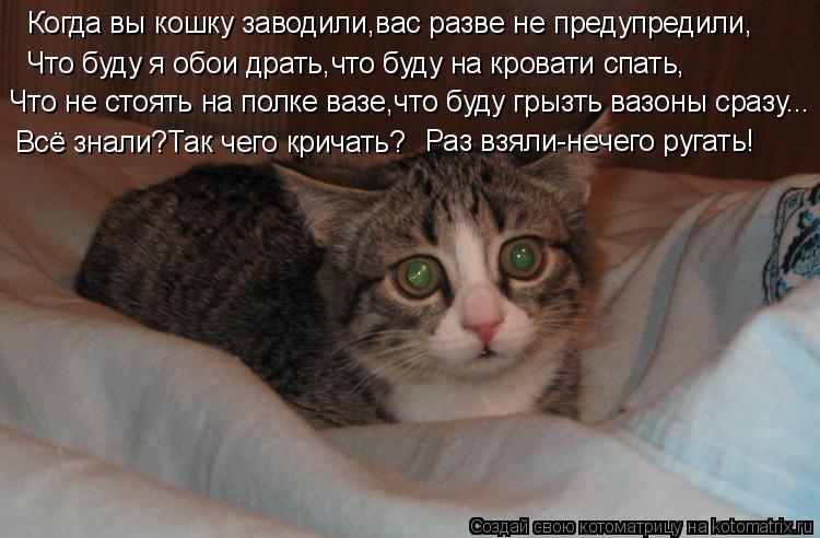 Кто сказал "МЯУ"?