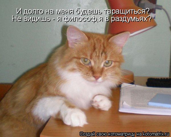 Котоматрица: И долго на меня будешь таращиться? Не видишь - я философ,я в раздумьях?