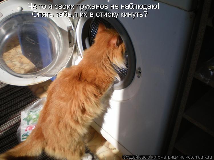 Котоматрица: Чё то я своих труханов не наблюдаю! Опять забыл их в стирку кинуть?