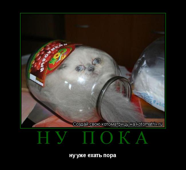 ну пока ну уже ехать пора... Котоматрица: ну пока ну уже ехать пора