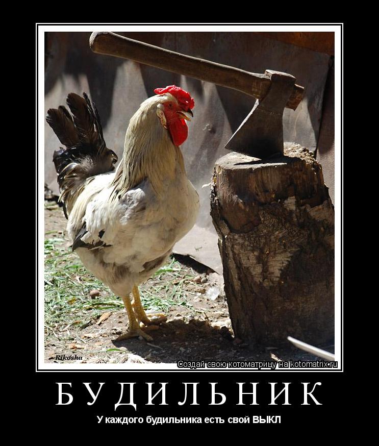 Будильник У каждого будильника есть свой ВЫКЛ... Котоматрица: Будильник У каждого будильника есть свой ВЫКЛ