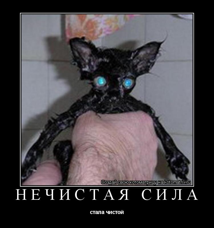 Котоматрица: нечистая сила стала чистой