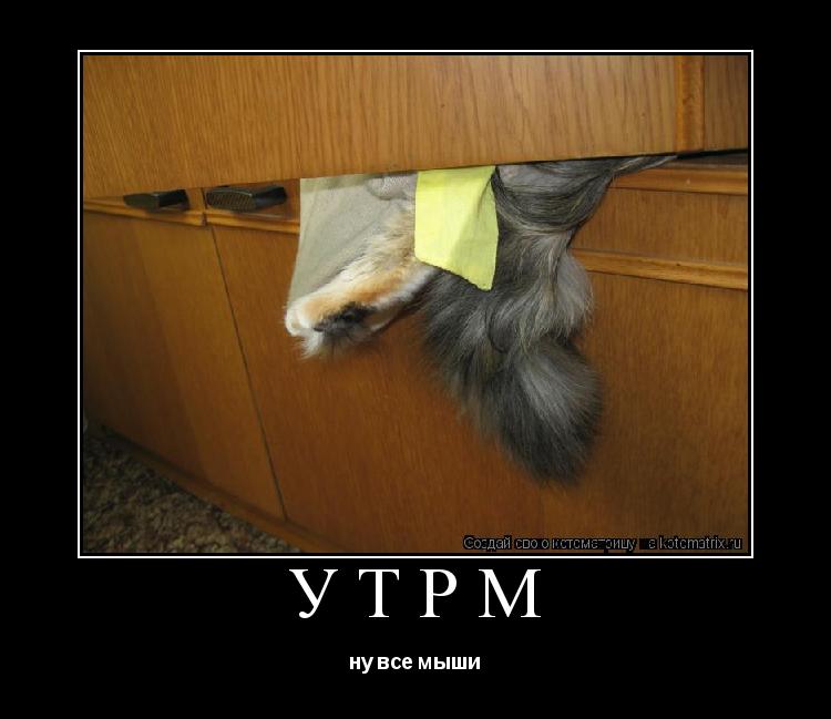 Котоматрица: утрм ну все мыши