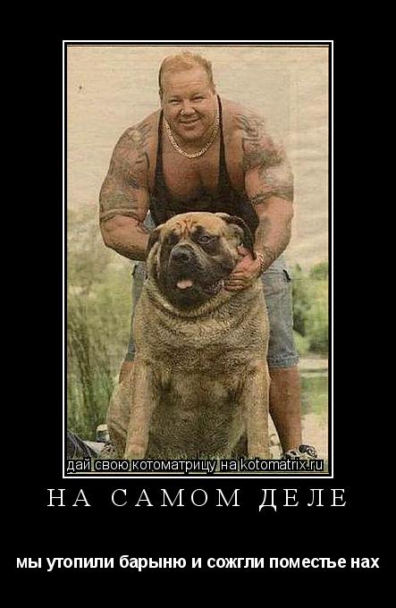 На самом деле мы утопили барыню и сожгли поместье нах... Котоматрица: На самом деле мы утопили барыню и сожгли поместье нах