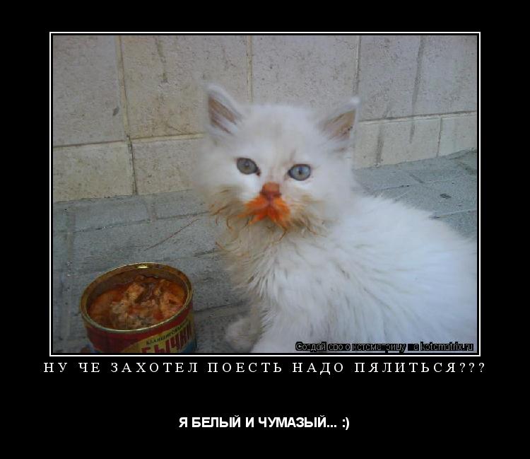 Котоматрица: НУ ЧЁ ЗАХОТЕЛ ПОЕСТЬ НАДО ПЯЛИТЬСЯ??? Я БЕЛЫЙ И ЧУМАЗЫЙ... :)