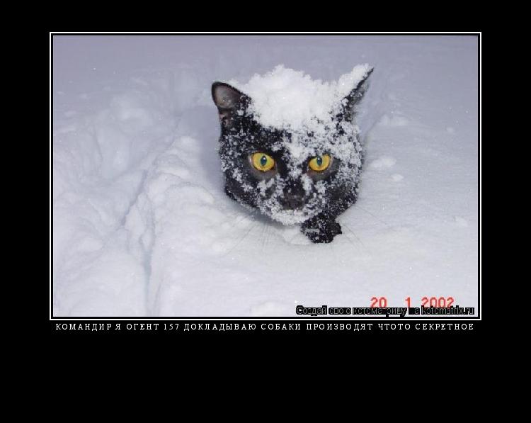 командир я огент 157 докладываю собаки производят чтото секретное ... Котоматрица: командир я огент 157 докладываю собаки производят чтото секретное