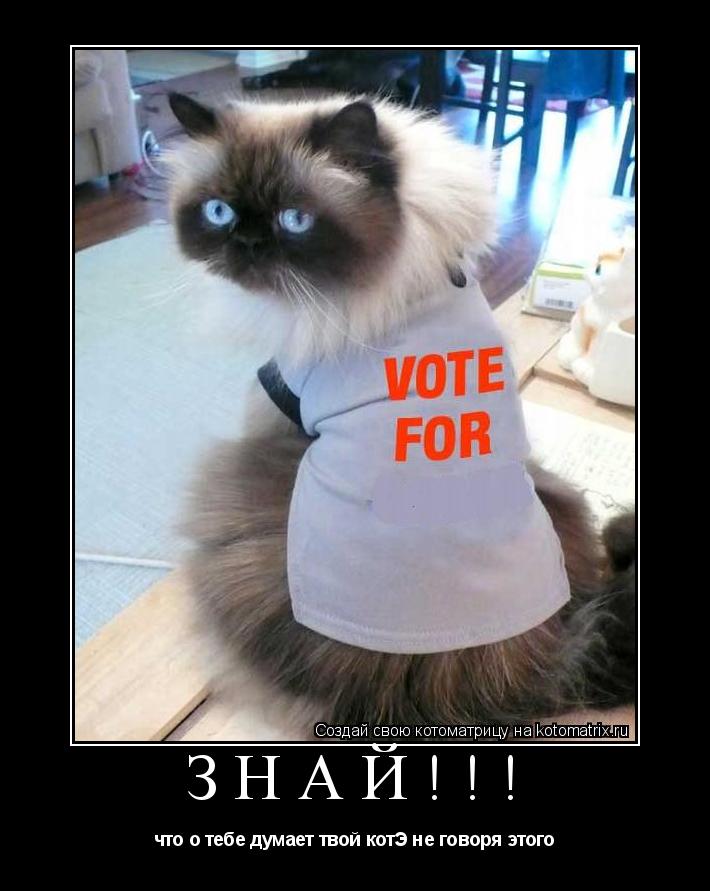знай!!! что о тебе думает твой котЭ не говоря этого... Котоматрица: знай!!! что о тебе думает твой котЭ не говоря этого
