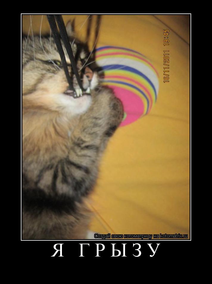 Котоматрица:  