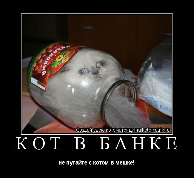 Котоматрица: Кот в банке не путайте с котом в мешке!