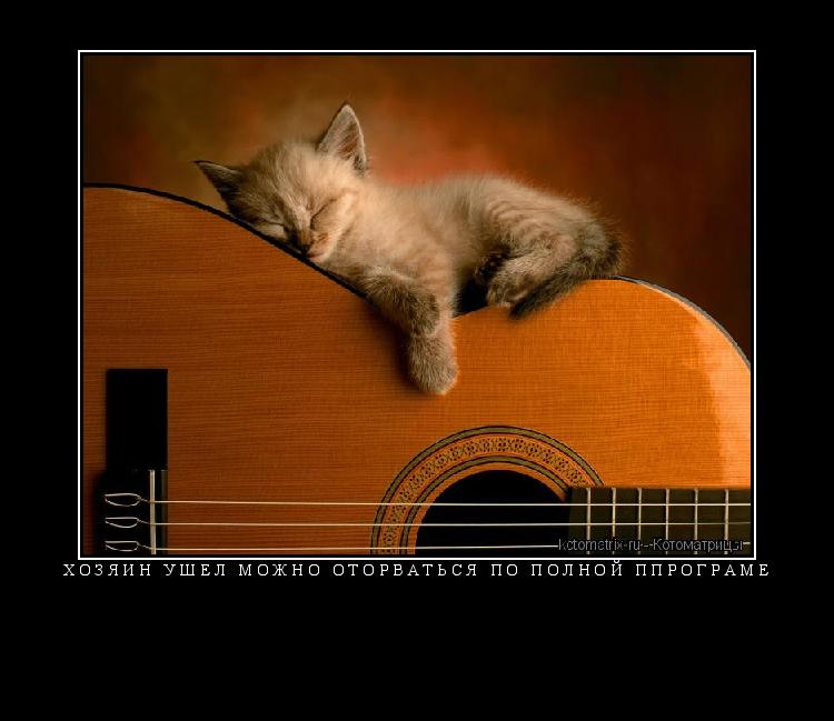 хозяин ушел можно оторваться по полной ппрограме ... Котоматрица: хозяин ушел можно оторваться по полной ппрограме