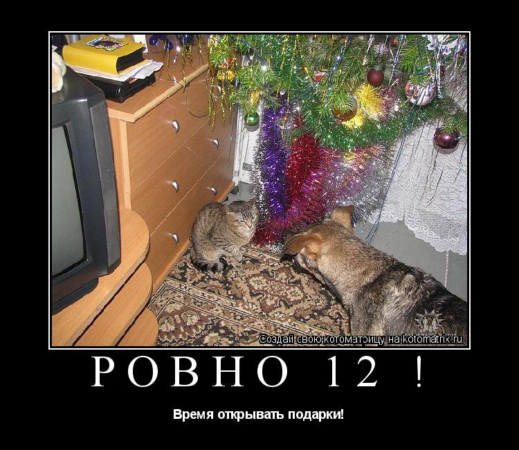 ровно 12 ! Время открывать подарки!... Котоматрица: ровно 12 ! Время открывать подарки!