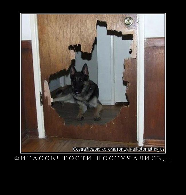 Котоматрица: фигассе! гости постучались,,, 