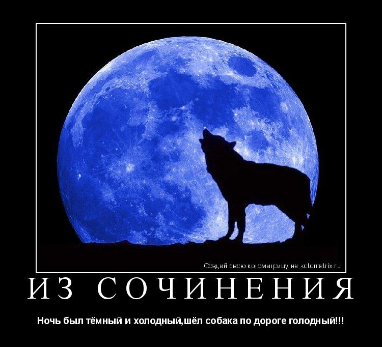 Котоматрица: Из СОЧИНЕНИЯ Ночь был тёмный и холодный,шёл собака по дороге голодный!!!