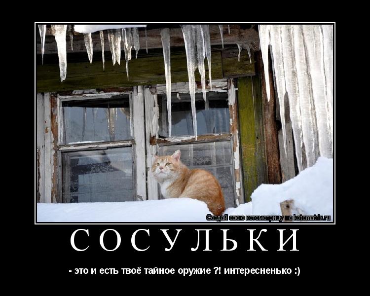 сосульки - это и есть твоё тайное оружие ?! интересненько :)... Котоматрица: сосульки - это и есть твоё тайное оружие ?! интересненько :)