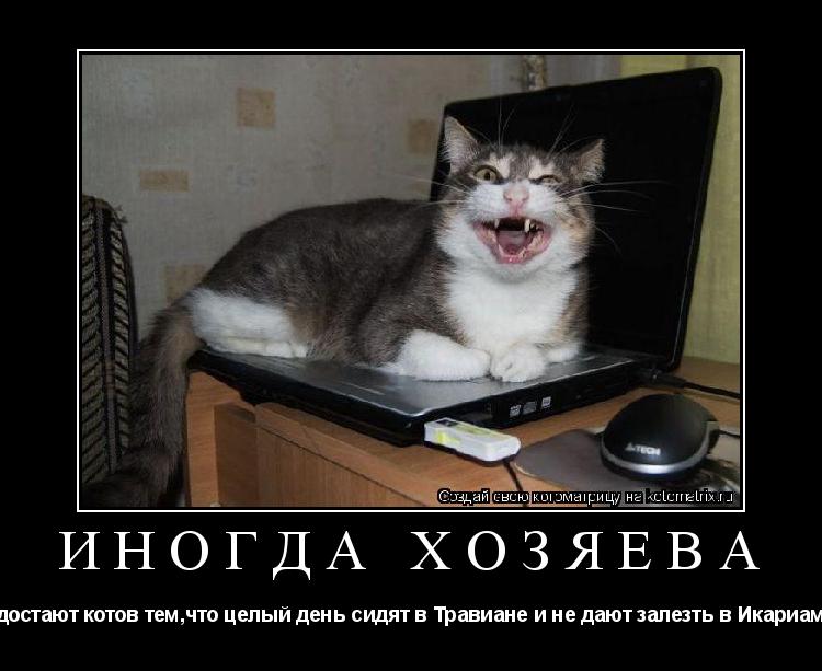 Иногда хозяева достают котов тем,что целый день сидят в Травиане и не дают залезть в Икариам... Котоматрица: Иногда хозяева достают котов тем,что целый день сидят в Травиане и не дают залезть в Икариам