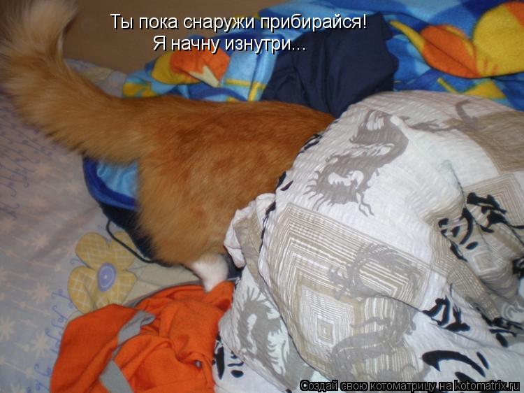 Ты пока снаружи прибирайся! Я начну изнутри...... Котоматрица: Ты пока снаружи прибирайся! Я начну изнутри...