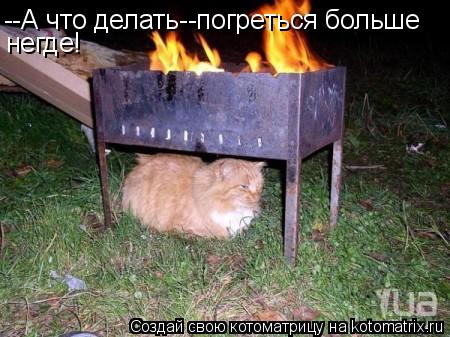 --А что делать--погреться больше негде!... Котоматрица: --А что делать--погреться больше негде!