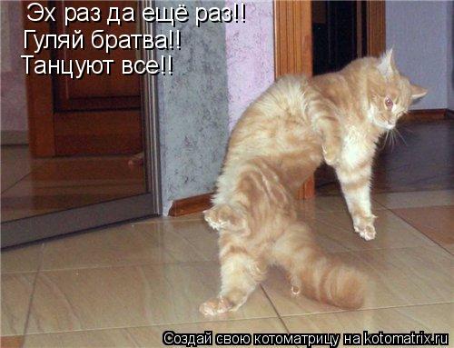 Эх раз да ещё раз!! Гуляй братва!! Танцуют все!!... Котоматрица: Эх раз да ещё раз!! Гуляй братва!! Танцуют все!!