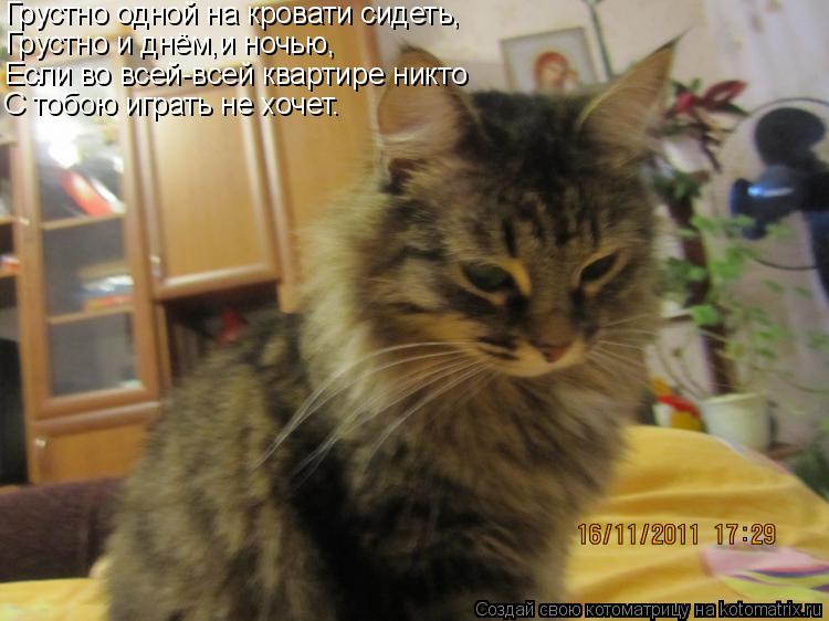Грустно одной на кровати сидеть, Грустно и днём,и ночью, Если во всей-всей квартире никто С тобою игр... Котоматрица: Грустно одной на кровати сидеть, Грустно и днём,и ночью, Если во всей-всей квартире никто С тобою играть не хочет.