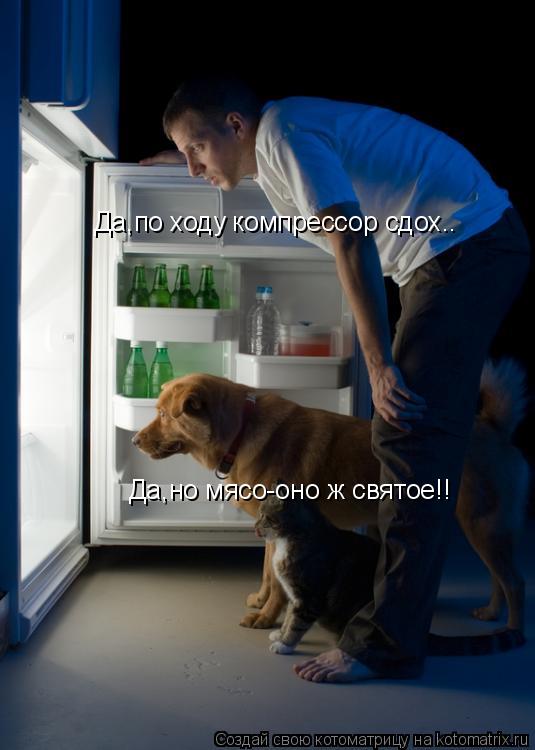 Да,по ходу компрессор сдох.. Да,но мясо-оно ж святое!!... Котоматрица: Да,по ходу компрессор сдох.. Да,но мясо-оно ж святое!!