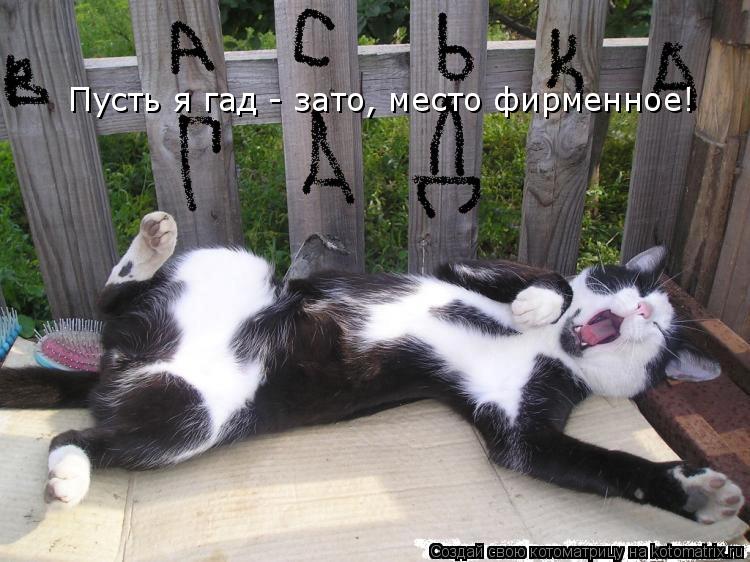 Котоматрица: Пусть я гад - зато, место фирменное!