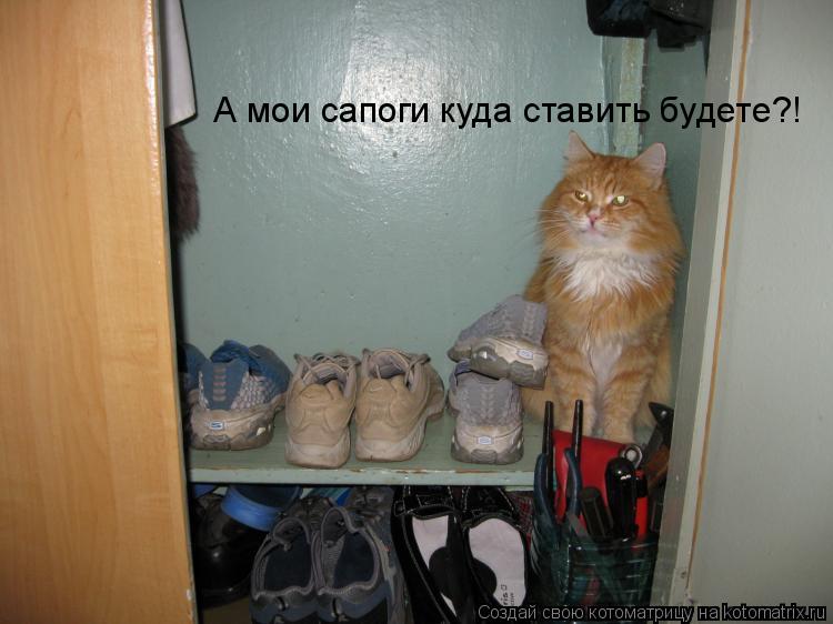 А мои сапоги куда ставить будете?!... Котоматрица: А мои сапоги куда ставить будете?!