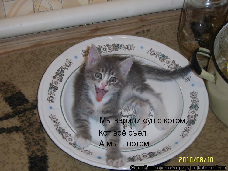 Мы варили суп с котом, Кот всё съел, А мы... потом...... Котоматрица: Мы варили суп с котом, Кот всё съел, А мы... потом...