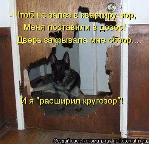 - Чтоб не залез в квартиру вор, Меня поставили в дозор! Дверь закрывала мне обзор.... И я "расширил к... Котоматрица: - Чтоб не залез в квартиру вор, Меня поставили в дозор! Дверь закрывала мне обзор.... И я "расширил кругозор"!