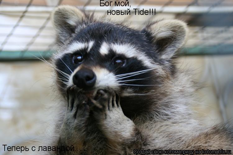 Бог мой, новый Tide!!! Теперь с лавандой...... Котоматрица: Бог мой, новый Tide!!! Теперь с лавандой...