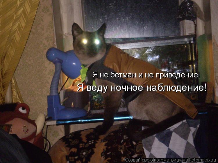 Я не бетман и не приведение! Я веду ночное наблюдение!... Котоматрица: Я не бетман и не приведение! Я веду ночное наблюдение!