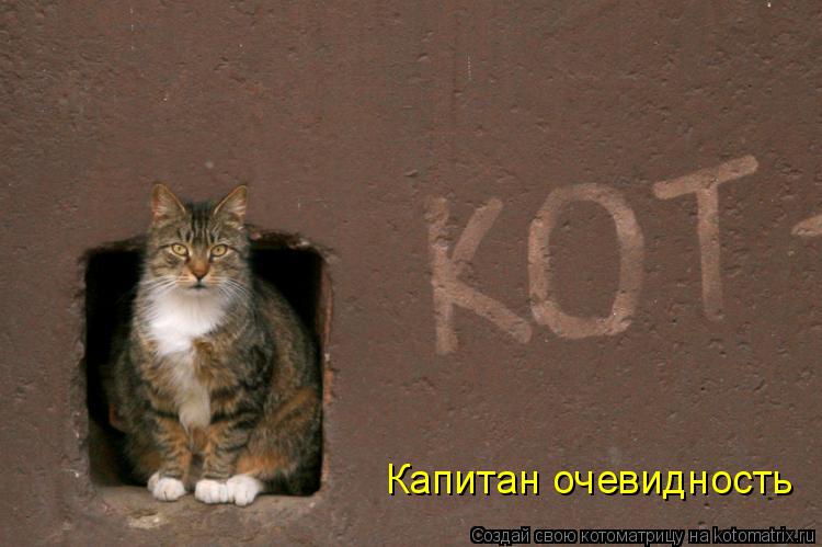 Капитан очевидность... Котоматрица: Капитан очевидность