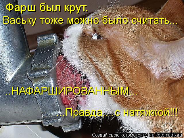 Фарш был крут. Ваську тоже можно было считать... ..НАФАРШИРОВАННЫМ... ...Правда,...с натяжкой!!!... Котоматрица: Фарш был крут. Ваську тоже можно было считать... ..НАФАРШИРОВАННЫМ... ...Правда,...с натяжкой!!!