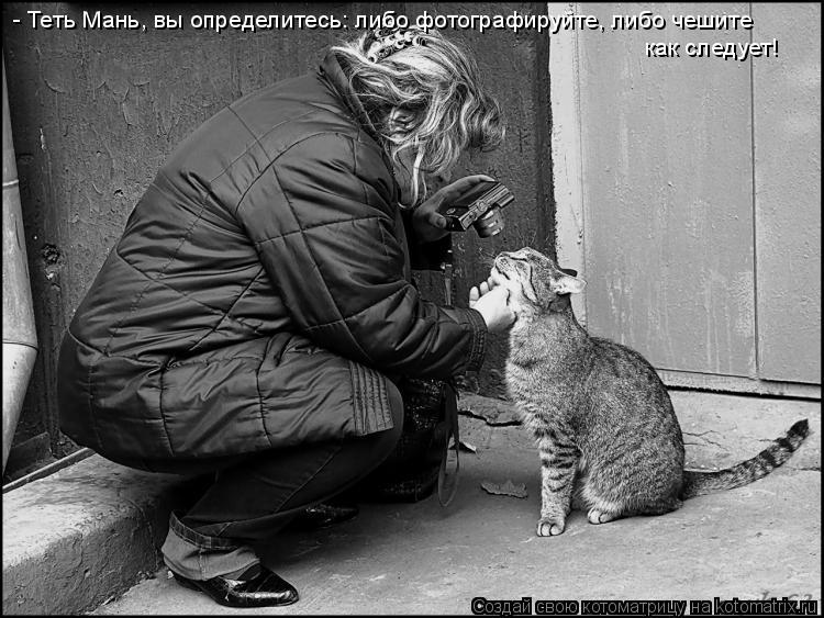 - Теть Мань, вы определитесь: либо фотографируйте, либо чешите как следует!... Котоматрица: - Теть Мань, вы определитесь: либо фотографируйте, либо чешите как следует!