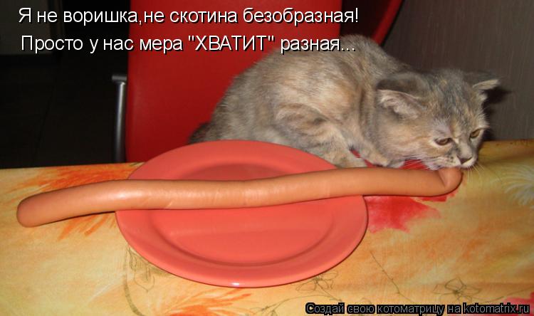 Я не воришка,не скотина безобразная! Просто у нас мера "ХВАТИТ" разная...... Котоматрица: Я не воришка,не скотина безобразная! Просто у нас мера "ХВАТИТ" разная...