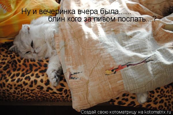 Ну и вечеринка вчера была...... блин кого за пивом послать...?... Котоматрица: Ну и вечеринка вчера была...... блин кого за пивом послать...?